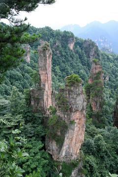 張家界山峰