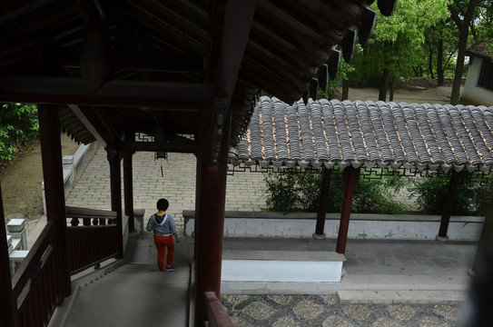 公園一角