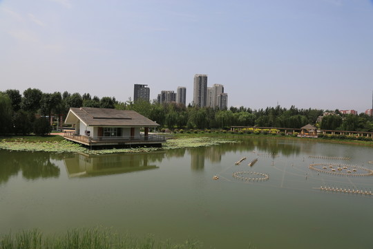 公園