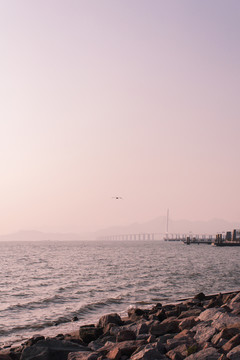 深圳灣早晨