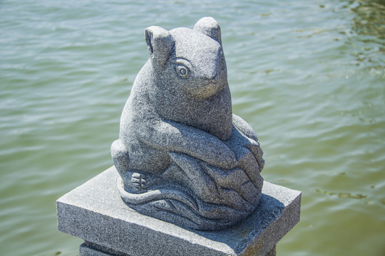 鼠