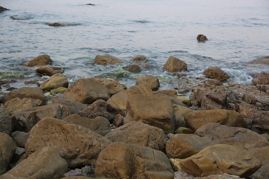 海邊的石頭