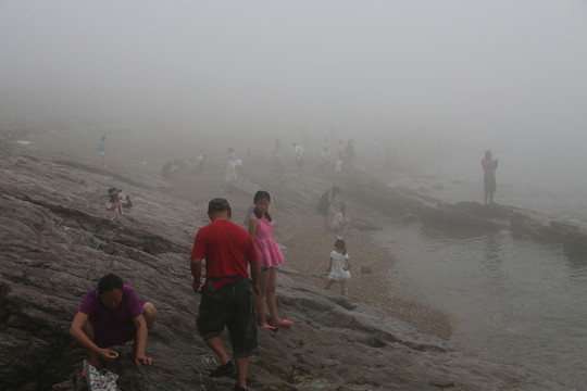 海邊 撿貝殼