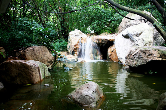 小溪 山泉