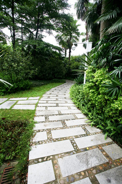 林中小路 公園風(fēng)景