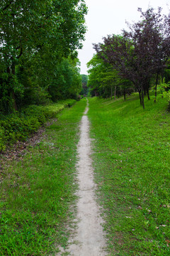 小路