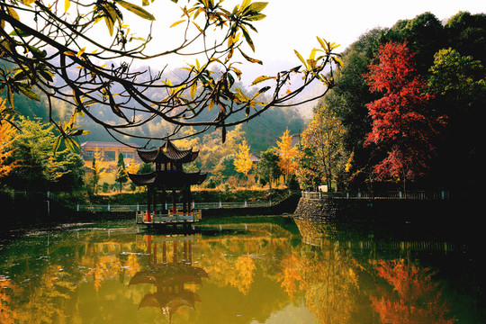 江西武寧縣彌陀寺風(fēng)光秋景