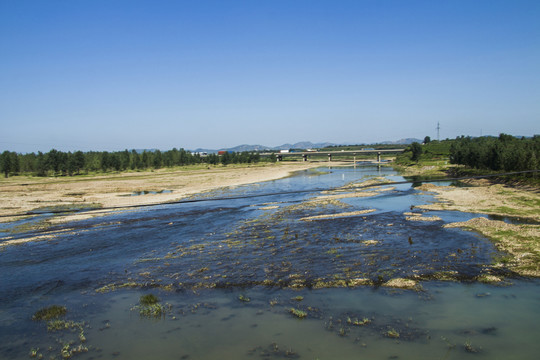 狗河橋