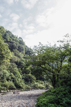 水墨汀溪風(fēng)景區(qū)