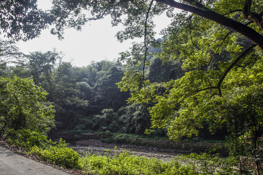 水墨汀溪風(fēng)景區(qū)