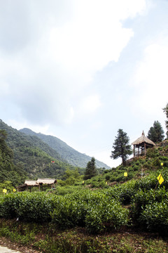 水墨汀溪風景區(qū)