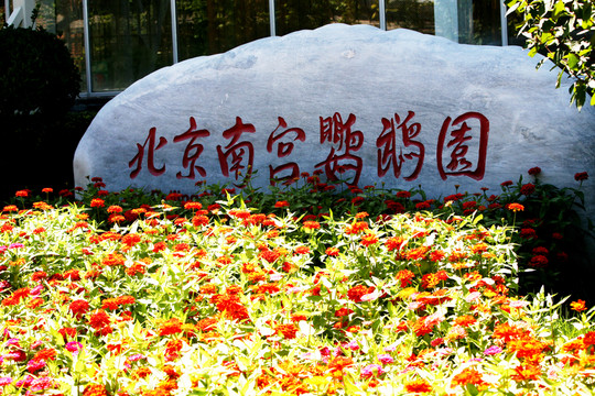 北京南宮鸚鵡大觀園