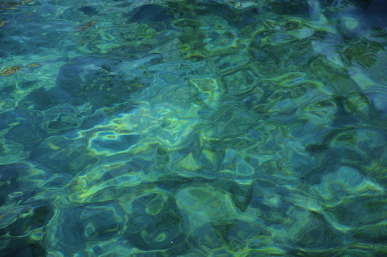 水紋理