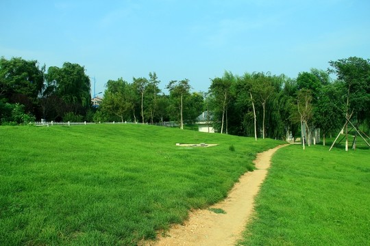 綠化廣場(chǎng)