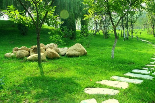 石板路 草地