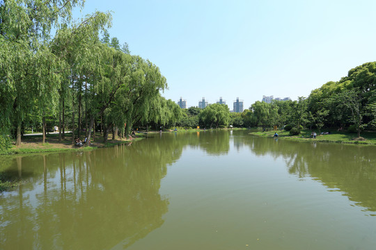 世紀(jì)公園 濕地