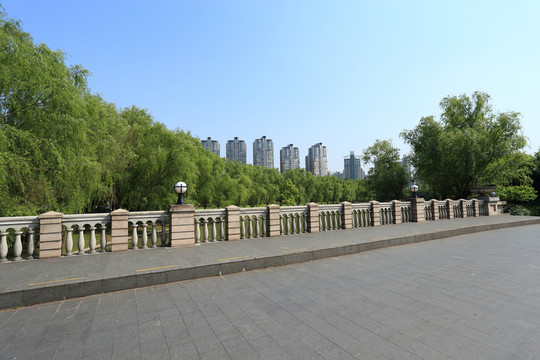 世紀(jì)公園 橋