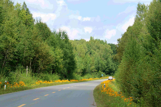 景區(qū)公路