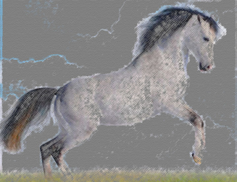 馬