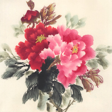 國(guó)畫 牡丹花