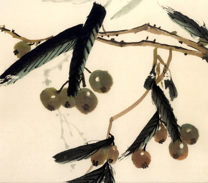 枇杷 國(guó)畫(huà) 裝飾畫(huà) 水墨畫(huà)