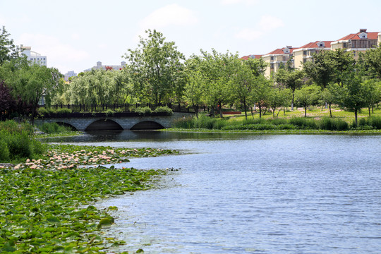 濕地公園