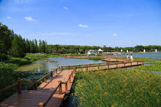 濕地公園