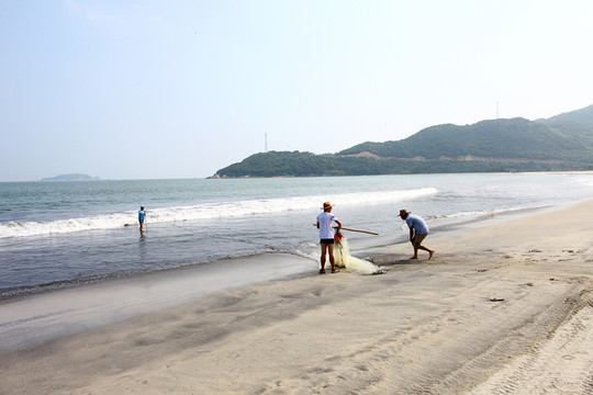 網(wǎng)魚(yú)