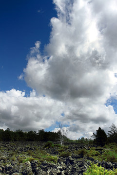 五大連池 世界地質(zhì)公園 龍門石