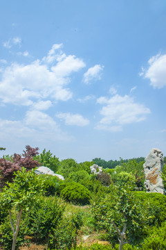 公園風(fēng)景 藍(lán)色天空