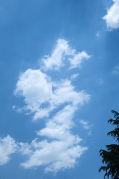 白云 藍(lán)天 天空