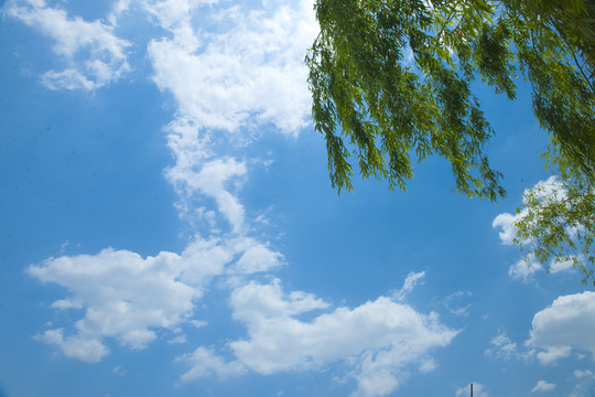 白云 藍(lán)天 天空