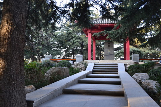 中國(guó)仲裁林