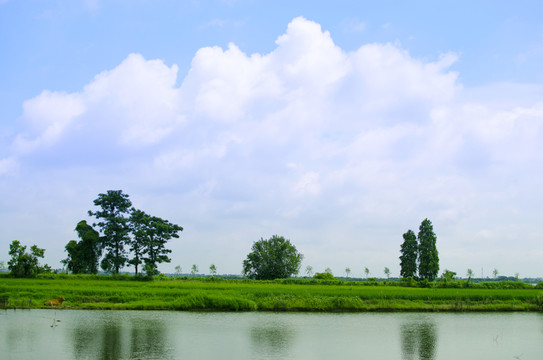 自然風(fēng)景