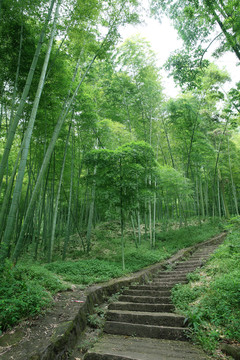 登山便道