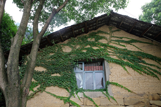 農(nóng)村房屋