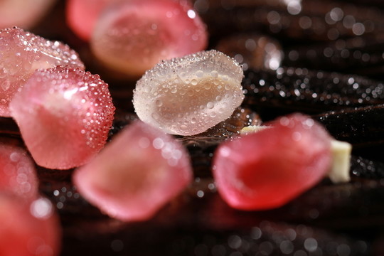 石榴美食 水果 創(chuàng)意 攝影