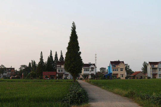 新農(nóng)村