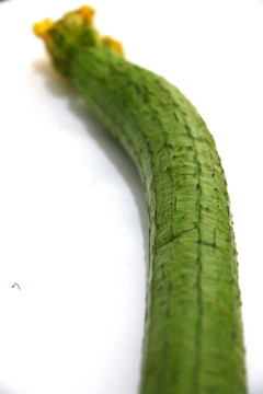 絲瓜