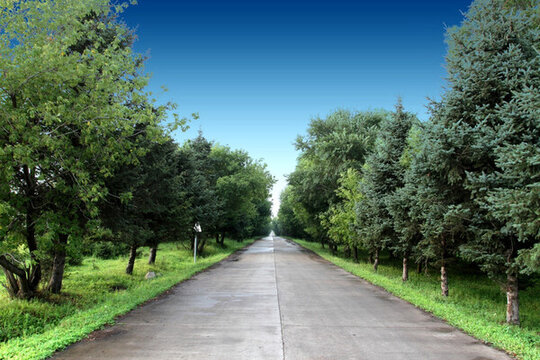 農(nóng)場(chǎng) 公路