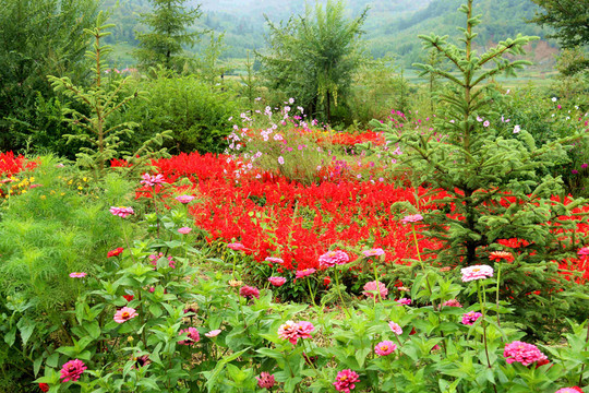 林中花園