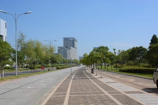 臨港大道