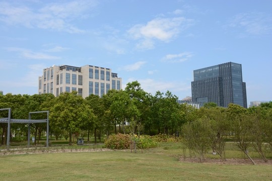 城市綠化