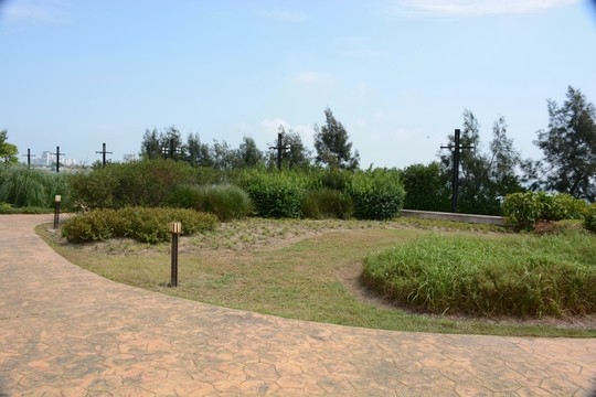 滴水湖綠化