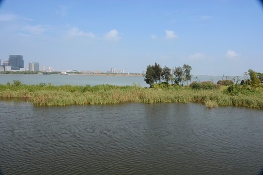 葦湖