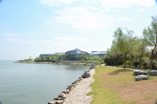 滴水湖綠化