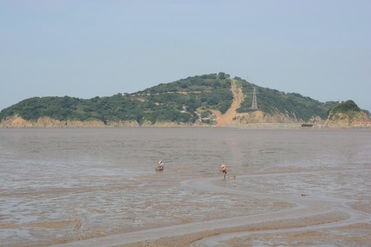 洋山
