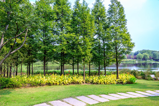 公園濕地