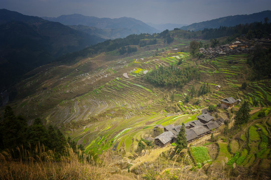 貴州黔東南加鳩梯田