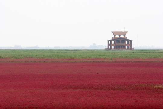 紅海灘